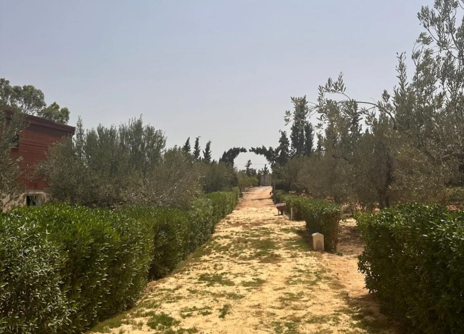 La Cascina Hotel Harqalah 0*,  Tunisia
