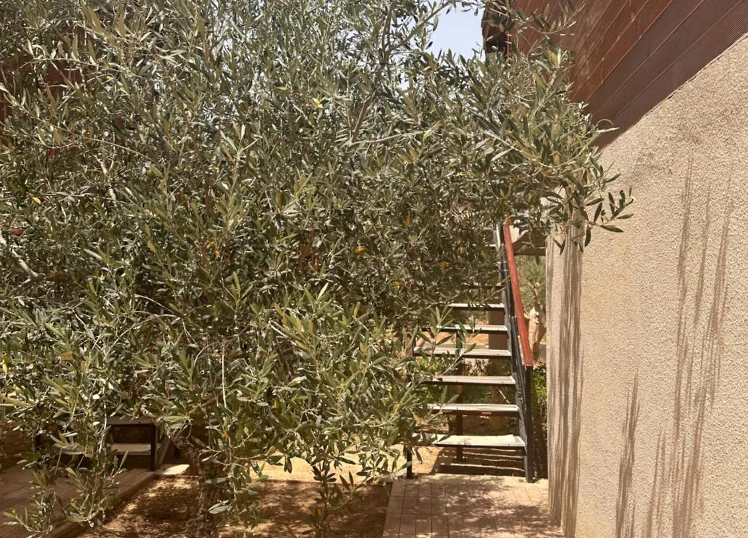 Guest house La Cascina Hotel Harqalah Tunisia