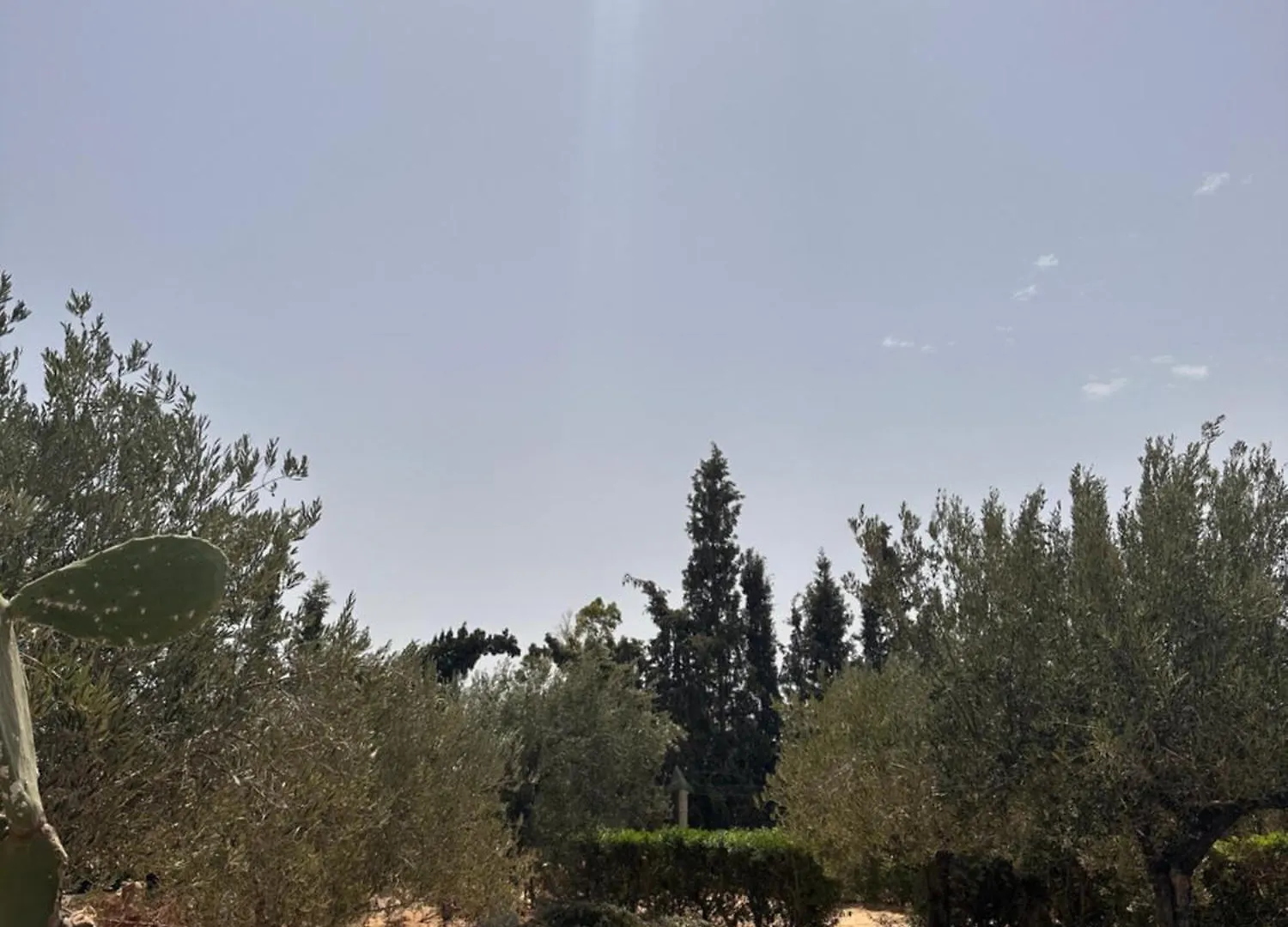 La Cascina Hotel Harqalah Guest house